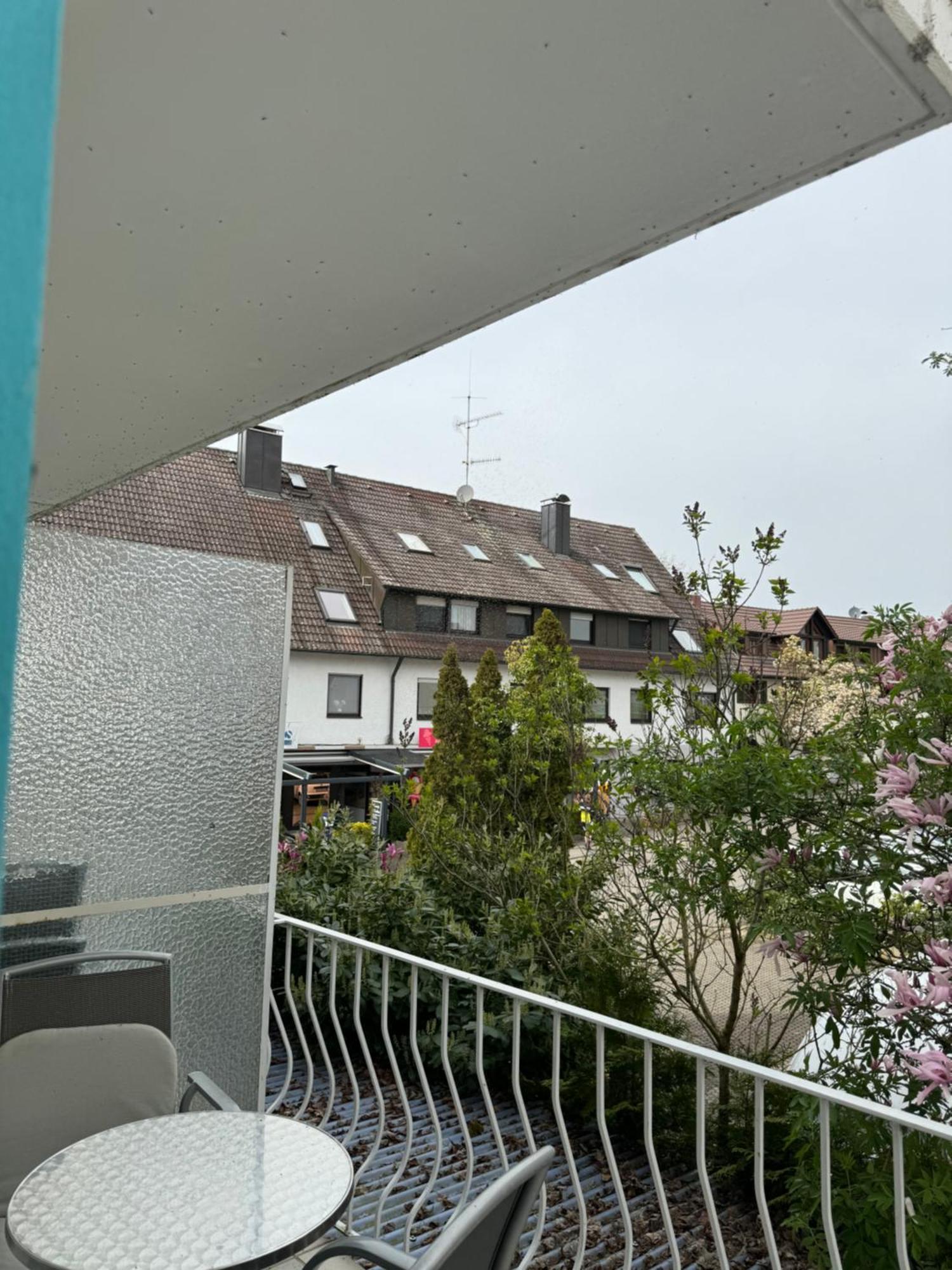 See-Hotel Seeschau - Direkt Am Bodenseeufer 라이헤나우 외부 사진