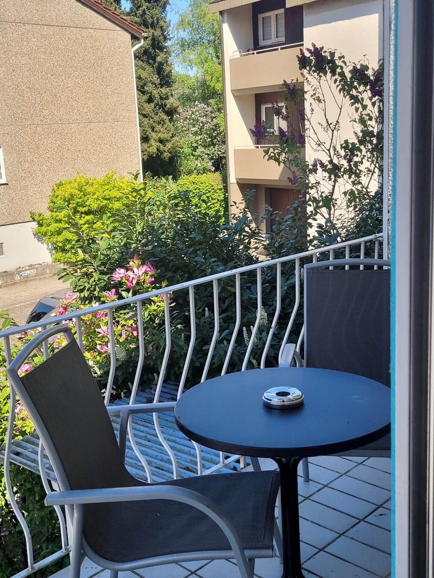 See-Hotel Seeschau - Direkt Am Bodenseeufer 라이헤나우 외부 사진